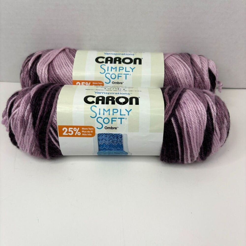 Lot of 2 Caron Simply Soft Ombre Yarn Grape Purple Worsted Acrylic 5oz Skeins